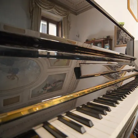 阿伏丽斯其苏罗马豪华b&b酒店 罗马