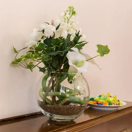 住宿加早餐酒店 阿伏丽斯其苏罗马豪华b&b酒店 4*